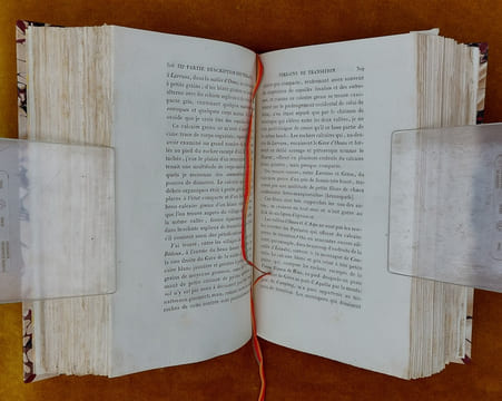 Essai Sur La Constitution Géognostique Des Pyrénées... Ouvrage couronné par l'Institut Royal de France. Avec une planche et une carte géognostique de ...