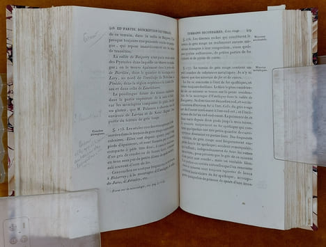 Essai Sur La Constitution Géognostique Des Pyrénées... Ouvrage couronné par l'Institut Royal de France. Avec une planche et une carte géognostique de ...