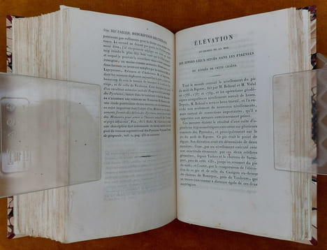 Essai Sur La Constitution Géognostique Des Pyrénées... Ouvrage couronné par l'Institut Royal de France. Avec une planche et une carte géognostique de ...