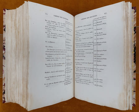 Essai Sur La Constitution Géognostique Des Pyrénées... Ouvrage couronné par l'Institut Royal de France. Avec une planche et une carte géognostique de ...