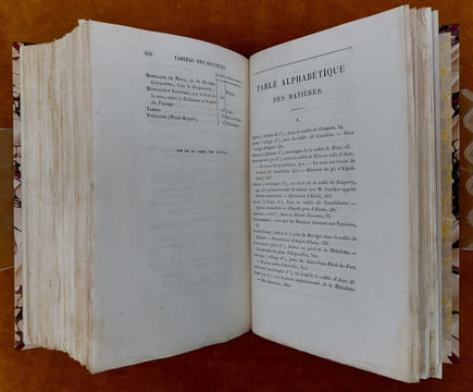 Essai Sur La Constitution Géognostique Des Pyrénées... Ouvrage couronné par l'Institut Royal de France. Avec une planche et une carte géognostique de ...