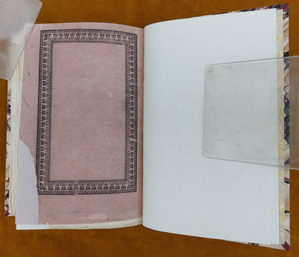 Essai Sur La Constitution Géognostique Des Pyrénées... Ouvrage couronné par l'Institut Royal de France. Avec une planche et une carte géognostique de ...