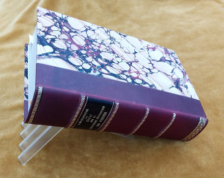 Essai Sur La Constitution Géognostique Des Pyrénées... Ouvrage couronné par l'Institut Royal de France. Avec une planche et une carte géognostique de ...