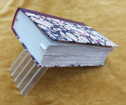 Essai Sur La Constitution Géognostique Des Pyrénées... Ouvrage couronné par l'Institut Royal de France. Avec une planche et une carte géognostique de ...