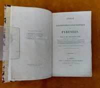Essai Sur La Constitution Géognostique Des Pyrénées... Ouvrage couronné par l'Institut Royal de France. Avec une planche et une carte géognostique de France.