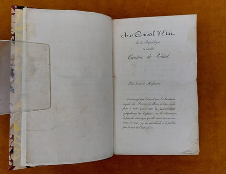 Essai Sur La Constitution Géognostique Des Pyrénées... Ouvrage couronné par l'Institut Royal de France. Avec une planche et une carte géognostique de ...