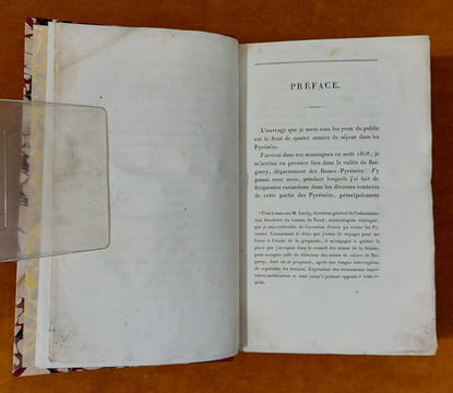 Essai Sur La Constitution Géognostique Des Pyrénées... Ouvrage couronné par l'Institut Royal de France. Avec une planche et une carte géognostique de ...