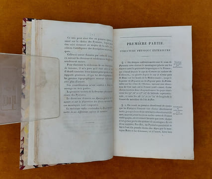Essai Sur La Constitution Géognostique Des Pyrénées... Ouvrage couronné par l'Institut Royal de France. Avec une planche et une carte géognostique de ...