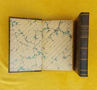 La campagne de 1799 en Italie et en Suisse: Carl von Clausewitz ; traduit de l'allemand par le capitaine breveté A. Niessel.
