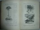 Rechercher Pizzetta Histoire Nat Livre Rare Book - 