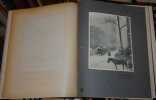 la revue de photographie troisième année, 1905. COLLECTIF sous la direction de P. Bourgeois, M. Bucquet, R. Demachy, E. Mathieu, C. Puyo, E. Wallon