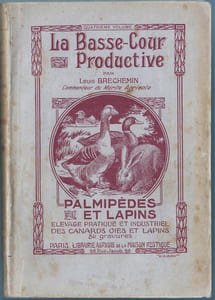 LA BASSE-COUR PRODUCTIVE : palmipèdes et lapins. (Élevage bourgeois et industriel, monographie de toutes les races de canards, cygnes, oies et lapins domestiques).
