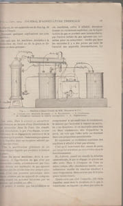 JOURNAL D'AGRICULTURE TROPICALE (agricole, scientifique et commercial) : N°31, 33, 34, 35 (4e année/1904), 121 (11e année/1911), 139, 142 (13e année/1913).