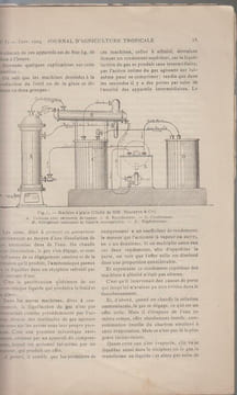 JOURNAL D'AGRICULTURE TROPICALE (agricole, scientifique et commercial) : N°31, 33, 34, 35 (4e année/1904), 121 (11e année/1911), 139, 142 (13e ...
