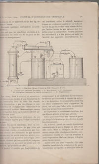 JOURNAL D'AGRICULTURE TROPICALE (agricole, scientifique et commercial) : N°31, 33, 34, 35 (4e année/1904), 121 (11e année/1911), 139, 142 (13e année/1913).