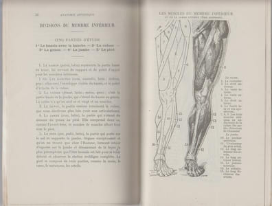 L'ANATOMIE ARTISTIQUE : Traité-Atlas.