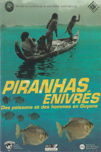 PIRANHAS ENIVRES : Des poissons et des hommes en Guyane.