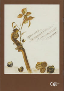 Plantes et musiques.
