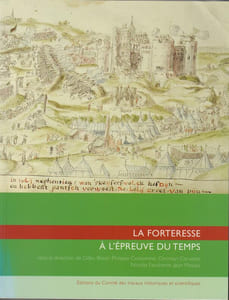 LA FORTERESSE A L’ÉPREUVE DU TEMPS : Destruction, dissolution, dénaturation, XIe-XXe siècle [Actes du 129e congrès national des sociétés historiques et scientifiques, Besançon, 2004]