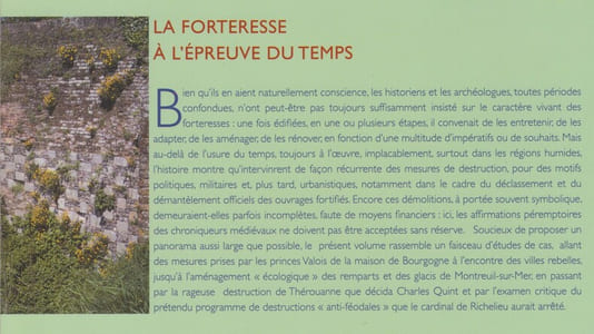 LA FORTERESSE A L’ÉPREUVE DU TEMPS : Destruction, dissolution, dénaturation, XIe-XXe siècle [Actes du 129e congrès national des sociétés historiques et scientifiques, Besançon, 2004]