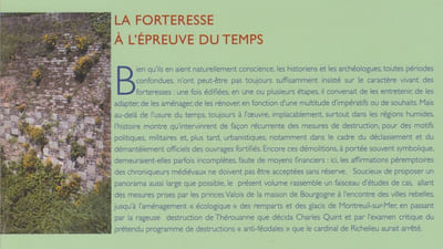 LA FORTERESSE A L’ÉPREUVE DU TEMPS : Destruction, dissolution, dénaturation, XIe-XXe siècle [Actes du 129e congrès national des sociétés historiques et scientifiques, Besançon, 2004]