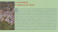 LA FORTERESSE A L’ÉPREUVE DU TEMPS : Destruction, dissolution, dénaturation, XIe-XXe siècle [Actes du 129e congrès national des sociétés historiques et scientifiques, Besançon, 2004]