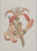 A TREASURY OF FLOWERS : rares illustrations from the collections of the New York Botanical Garden.. ANDERSON (Frank J.)