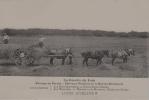 LA RÉCOLTE DU FOIN.
Elevage au Perche : Chevaux percherons et bovins normands.. CHAUFFROY Ch.