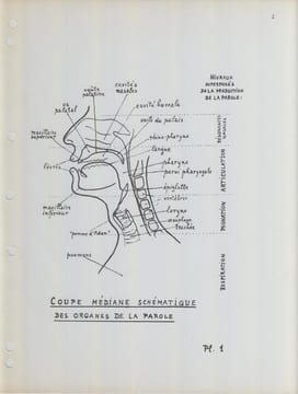 Album phonétique.
Représentation schématique des organes de la parole, de la production et de la perception de la parole et des différentes branches ...