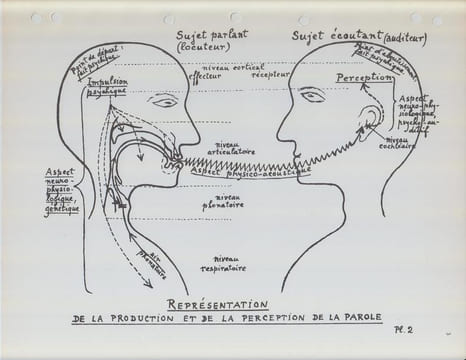 Album phonétique.
Représentation schématique des organes de la parole, de la production et de la perception de la parole et des différentes branches ...
