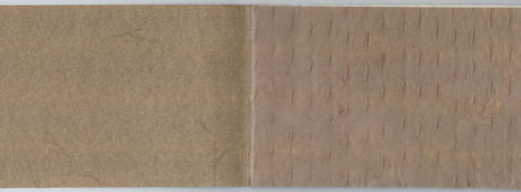 Végétal [LIVRE D'ARTISTE]. DIDIER-CHARLET (Sarah)