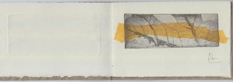 Végétal [LIVRE D'ARTISTE]. DIDIER-CHARLET (Sarah)