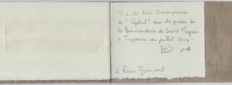 Végétal [LIVRE D'ARTISTE]. DIDIER-CHARLET (Sarah)