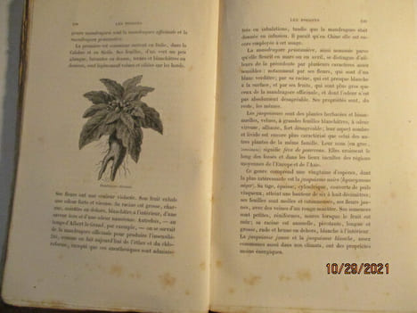 Les Poisons de Mangin ---- Les empoisonnements criminels et accidentels, de BROUARDEL - 2 Volumes. MANGIN, Arthur (1824-1887).- Illustrations Nb en ...