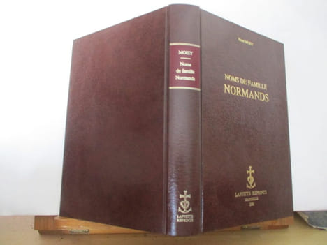 Noms de Familles normands, Étudiés dans leurs rapports avec la vieille langue et spécialement avec le dialecte normand ancien et moderne. Henri MOISY