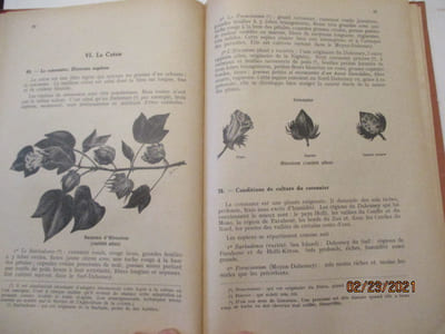 Manuel d'Agriculture à l'usage des Ecoles Primaires de l'Afrique Equatoriale et Tropicale de A. DAVESNE 