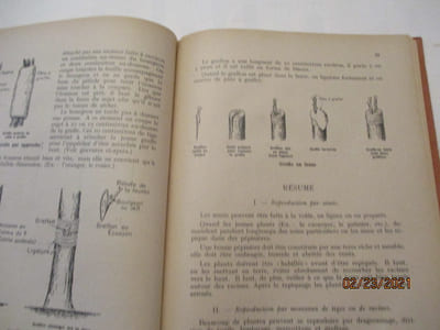 Manuel d'Agriculture à l'usage des Ecoles Primaires de l'Afrique Equatoriale et Tropicale de A. DAVESNE 
