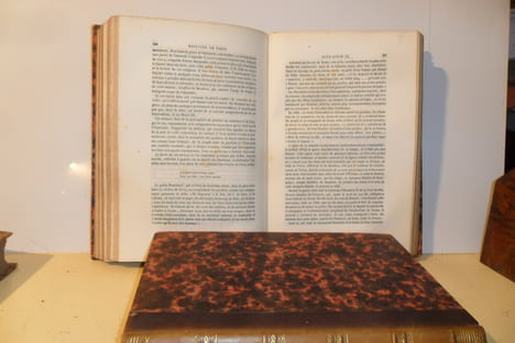 Histoire physique, civile et morale de Paris, septième édition augmentée de notes nouvelles et d'un appendice contenant des détails descriptifs et ...