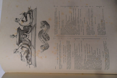 Album de la vie de César - Recueil de dessins exécutés ou mis en ordre par Henry de MONTAUT, pour servir d'illustrations à l'histoire de césar et de ...