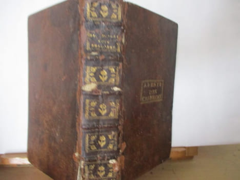 Dictionnaire Anti-Philosophique pour servir de commentaire et de correctif au Dictionnaire Philosophique & aux autres livres qui ont paru de nos jours ...