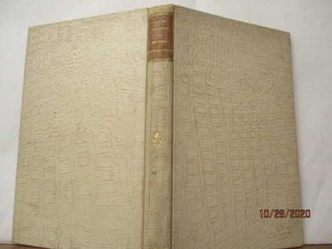 Histoire d'un bouton par Piotre Artamov. Piotre Artamov (1818-1870)