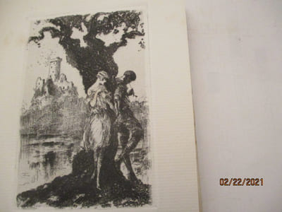 Bigarrure de Abel Hermant