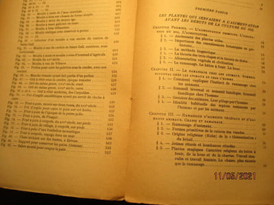 Histoire de l'alimentation végétale depuis la préhistoire jusqu'à nos jours, de Adam Maurizio