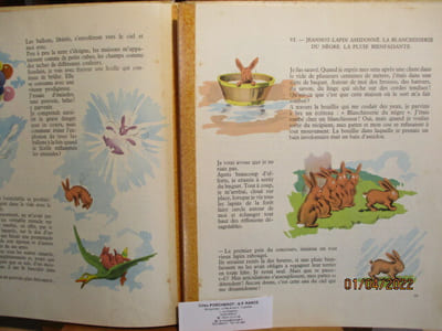 Jeannot-Lapin & Cie, de Benjamin Rabier