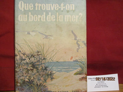 Que trouve-t-on au bord de la mer? par A. Kosch