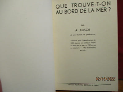 Que trouve-t-on au bord de la mer? par A. Kosch