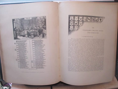 Die stadt Zürich illustrirte chronik - «Bearbeitet unter Mitwirkung fachmännischer Autoritäten. Mit Illustrationen in Photogravure und Holzschnitt, ...
