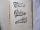 Histoire de la chaussure, depuis l'antiquité la plus reculée jusqu'à nos jours, suivie de l'histoire serieuse et drolatique des Cordonniers et des ...