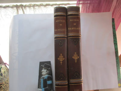 Oeuvres de François Rabelais, Oeuvres (.). Édition conforme aux derniers textes revus par l'auteur - Une notice et un glossaire par Pierre Jannet - Illustrations de Albert ROBIDA