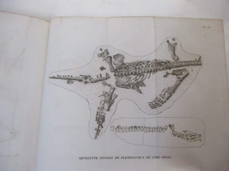Discours sur les Révolutions de la Surface du Globe, et sur les changements qu'elles ont produits dans le règne animal - troisième édition française. ...